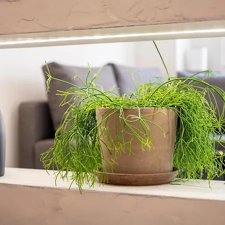 Aram's Port House Апартаменти Кос