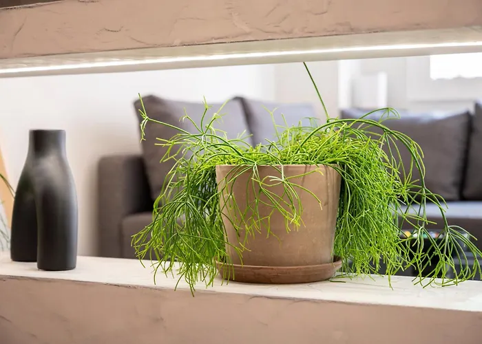 Aram's Port House Apartmán Kos